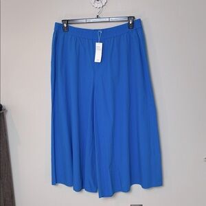NWT Eileen Fisher organic cotton poplin super wide leg crop pants in Calypso, L